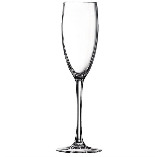 Champagnerflöten Chef & Sommelier Cabernet Tulip - 24 Sektgläser - 160 ml