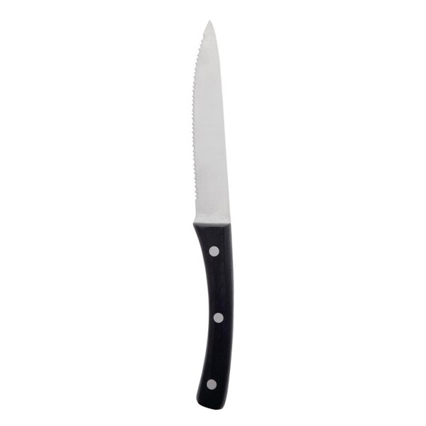 Abert Angus Steakmesser - Edelstahl - 23 cm - 24 Messer