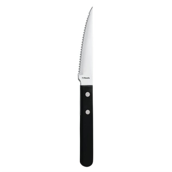 Amefa Steakmesser - 21(L)cm - 12 Messer - Edelstahl