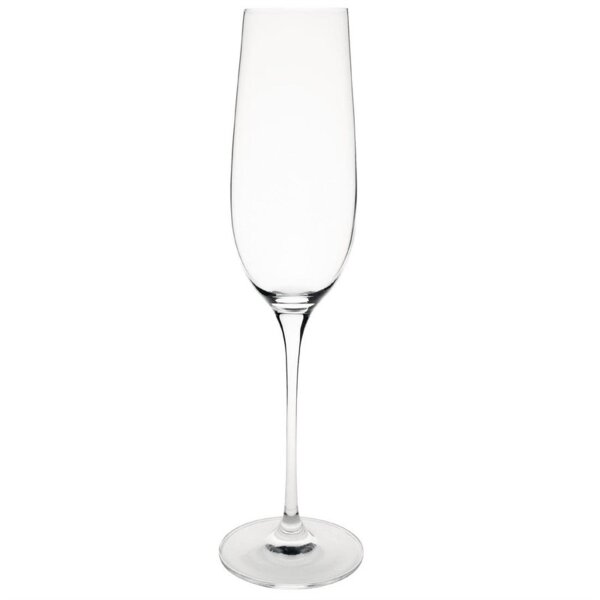 12 Olympia Campana Champagnergläser 26cl - Glas - Spülmaschinengeeignet