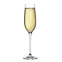 12 Olympia Campana Champagnergläser 26cl - Glas - Spülmaschinengeeignet