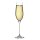 12 Olympia Campana Champagnergläser 26cl - Glas - Spülmaschinengeeignet
