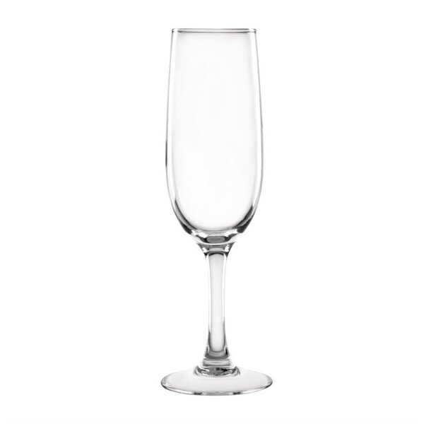 12 Olympia Rosario Champagnergläser 17cl - Gläserspülmaschinengeeignet