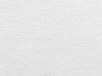 SemyTop Semy Pulp Putztuchrolle - 29 cm - weiß - 300 Blatt - 1 Rolle Putztücher