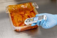 Sauter Thermometer JFT 100 - Sondenthermometer für Lebensmittel