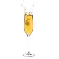 6 Olympia Campana Champagnergläser 26cl - Glas - Spülmaschinengeeignet