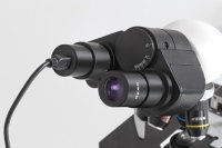 Kern Mikroskopkamera ODC-874 | für Messungen, Zählungen, Dokumentation